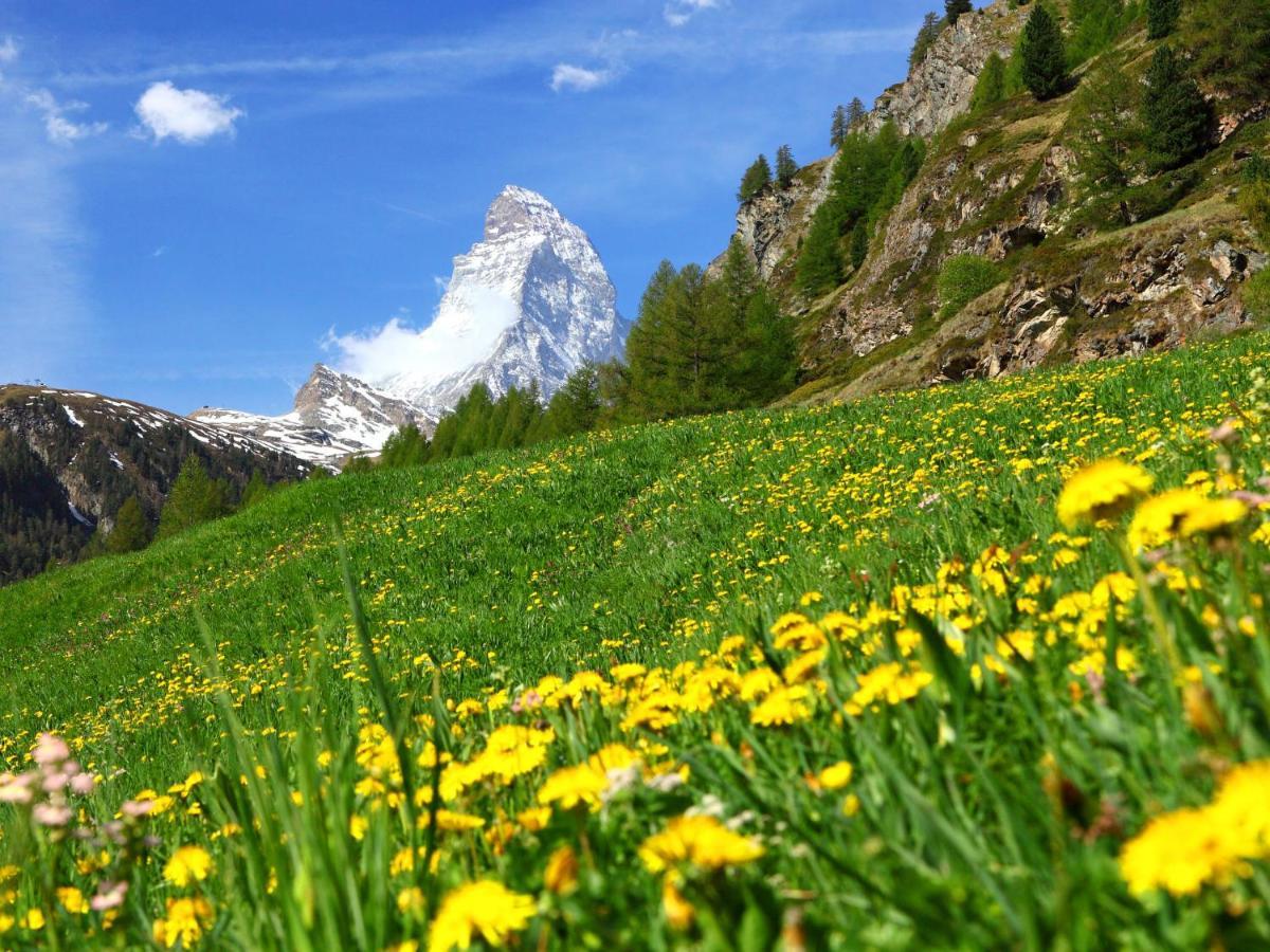 Apartment Armina By Interhome Zermatt Esterno foto